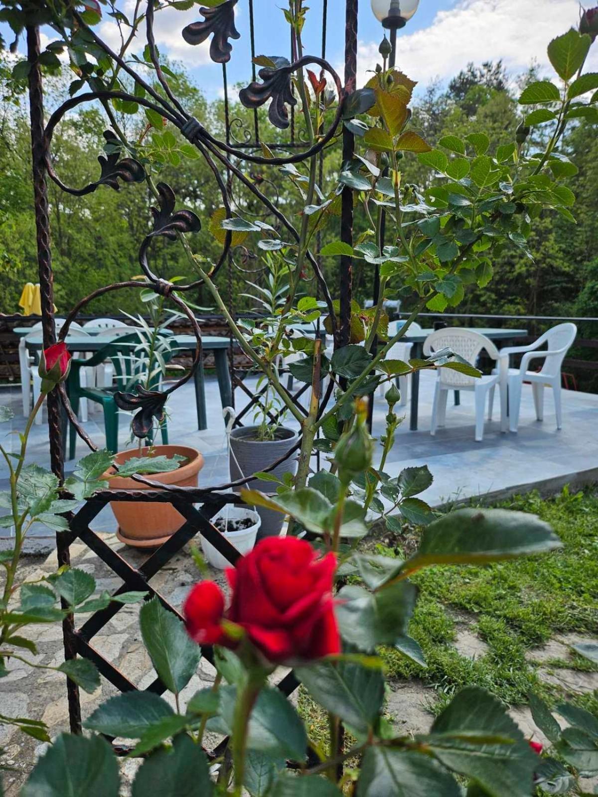 Orehite-Family Hotel ,Food & Pool Bozhichen Extérieur photo